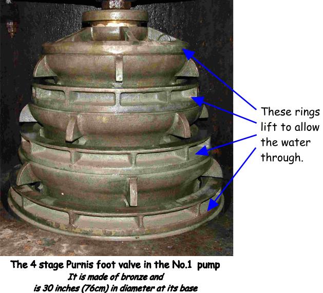 The Purnis foot valve